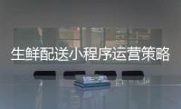 生鲜配送小程序运营策略_(生鲜配送小程序运营策略有哪些)