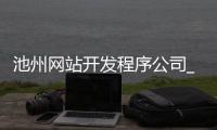 池州网站开发程序公司_(池州网站开发程序公司有哪些)